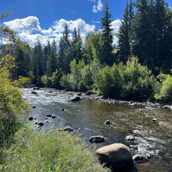 Meet your Posher - Picture 1 of 1